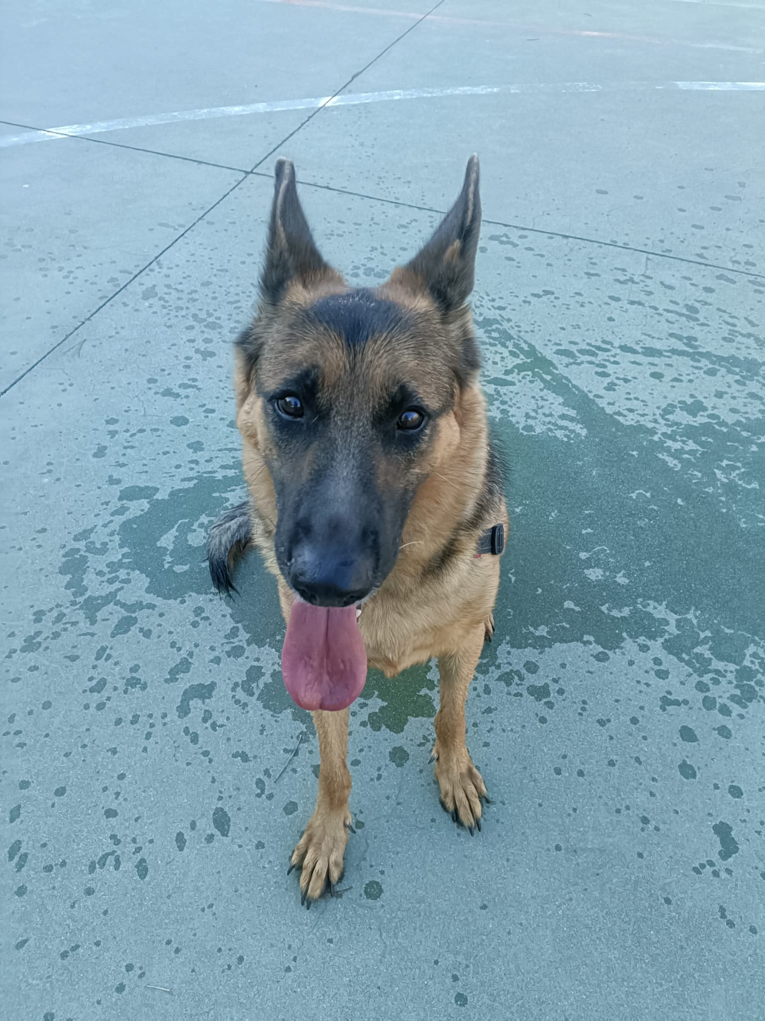 WhatsApp Image 2025-10-02 at 09.18.12 (1)