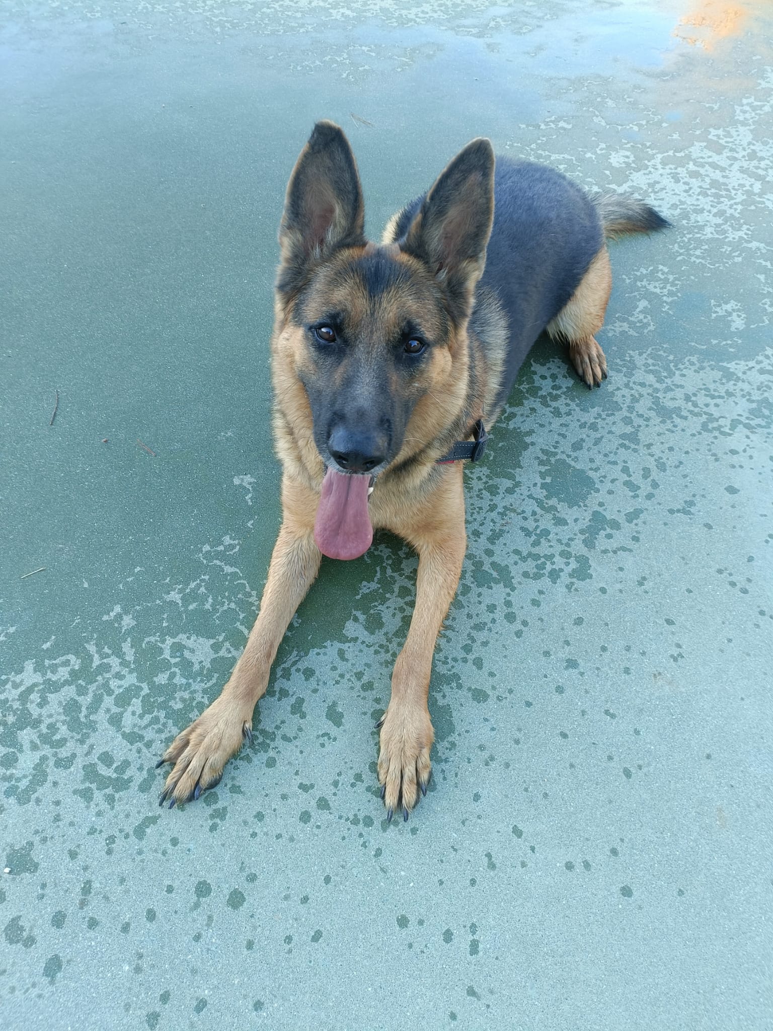 WhatsApp Image 2025-10-02 at 09.18.12