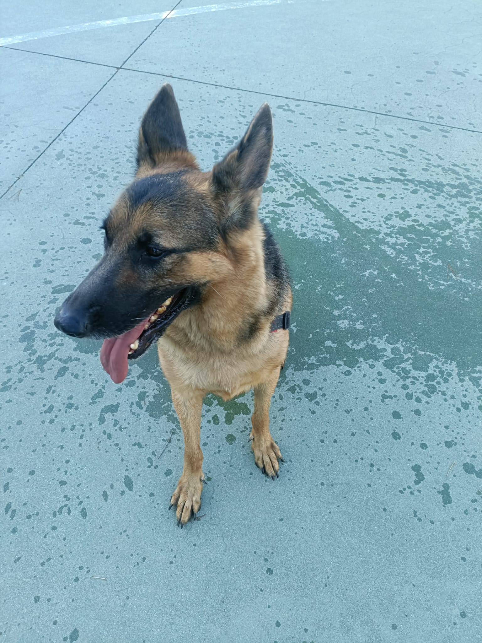 WhatsApp Image 2025-10-02 at 09.18.13