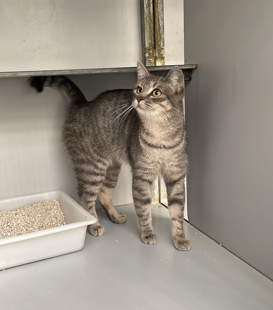 WhatsApp Image 2025-12-01 at 12.35.24