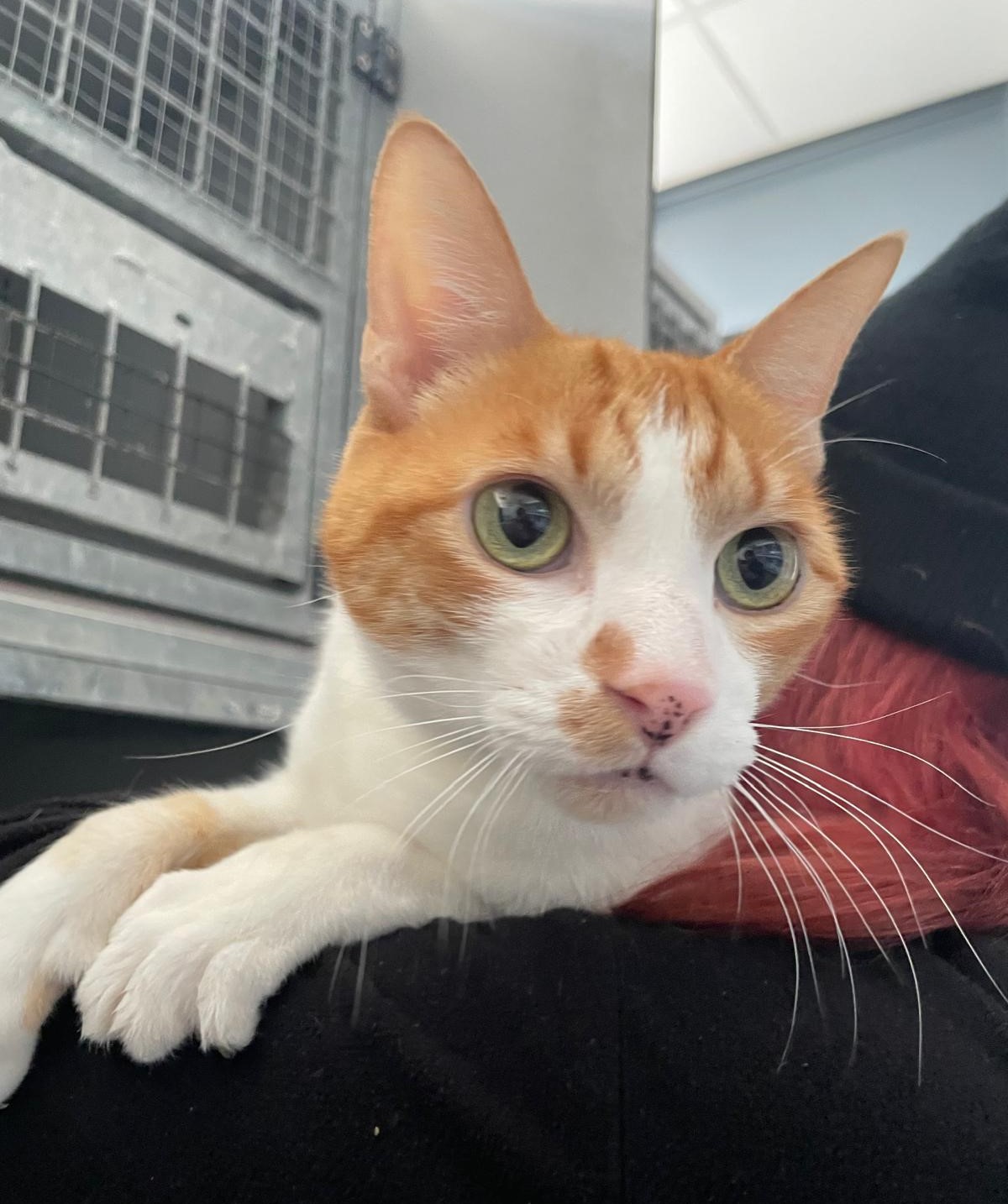 WhatsApp Image 2025-12-01 at 13.31.22 (1)