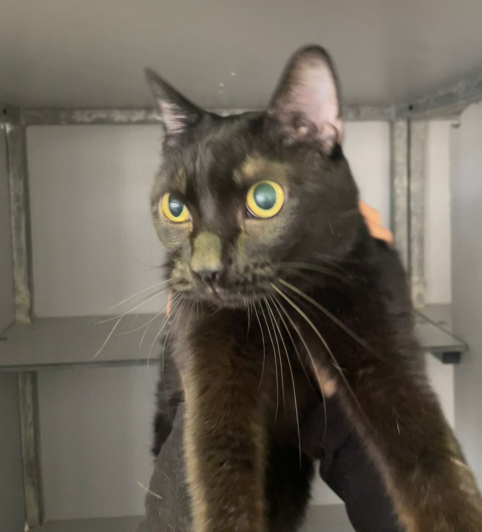 WhatsApp Image 2025-12-02 at 16.46.24