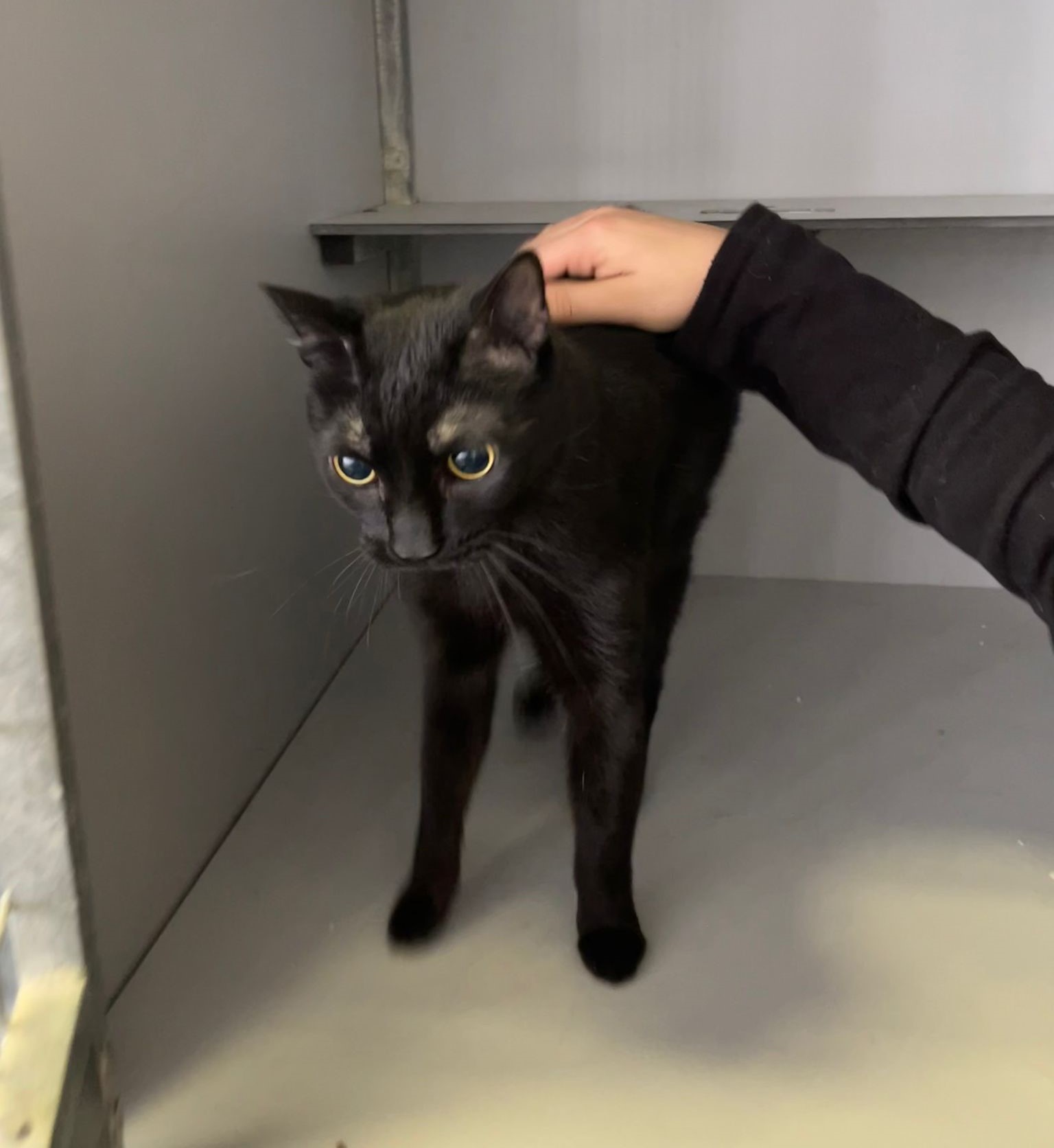 WhatsApp Image 2025-12-02 at 16.46.26 (1)