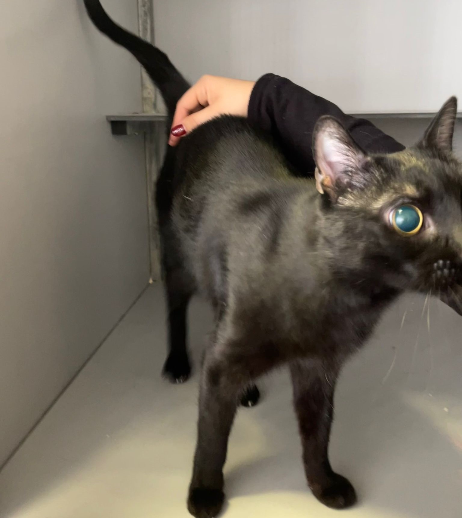 WhatsApp Image 2025-12-02 at 16.46.26