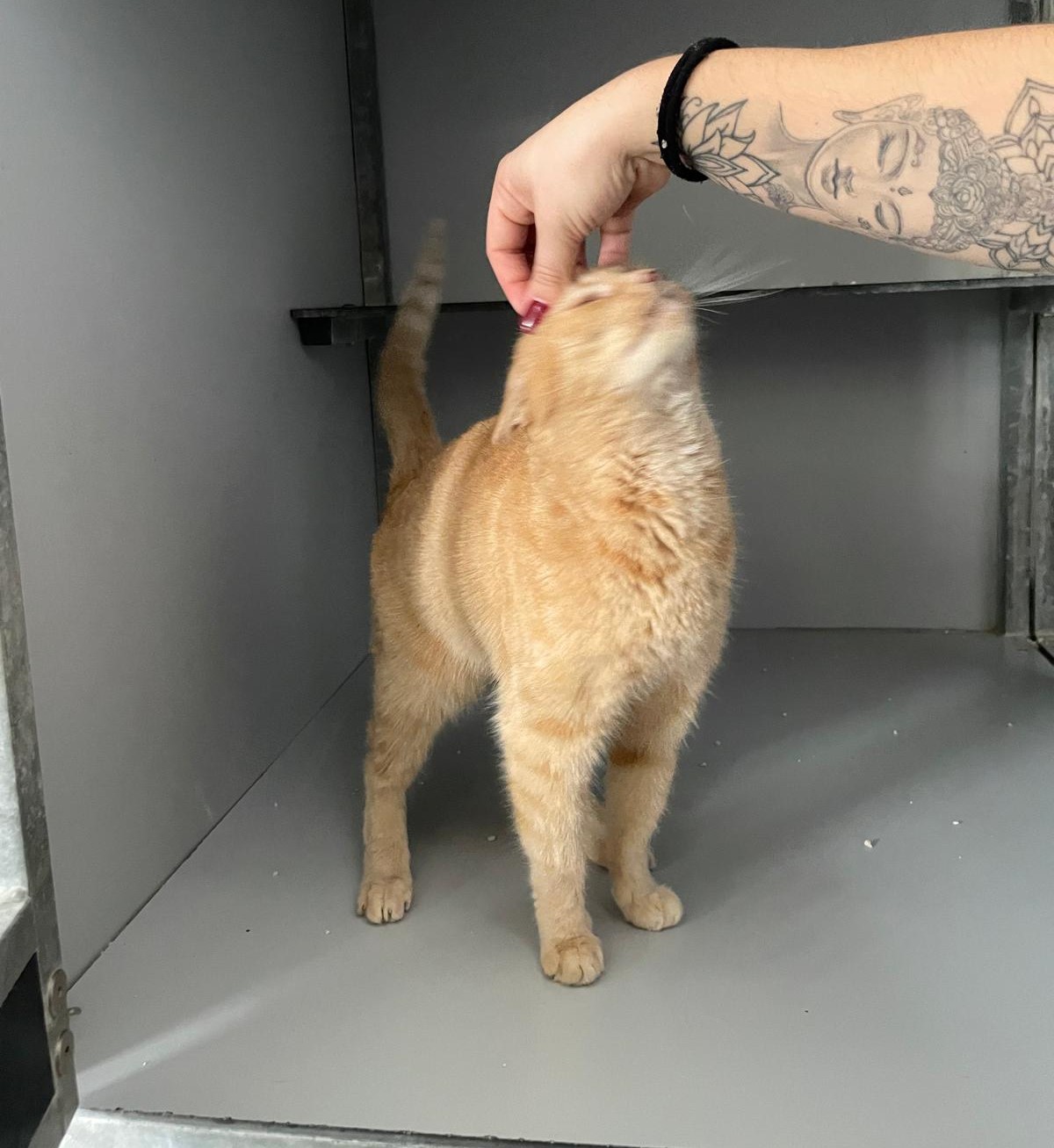 WhatsApp Image 2025-12-03 at 10.04.42