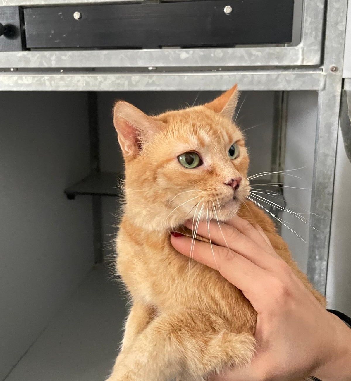 WhatsApp Image 2025-12-03 at 10.04.43 (1)