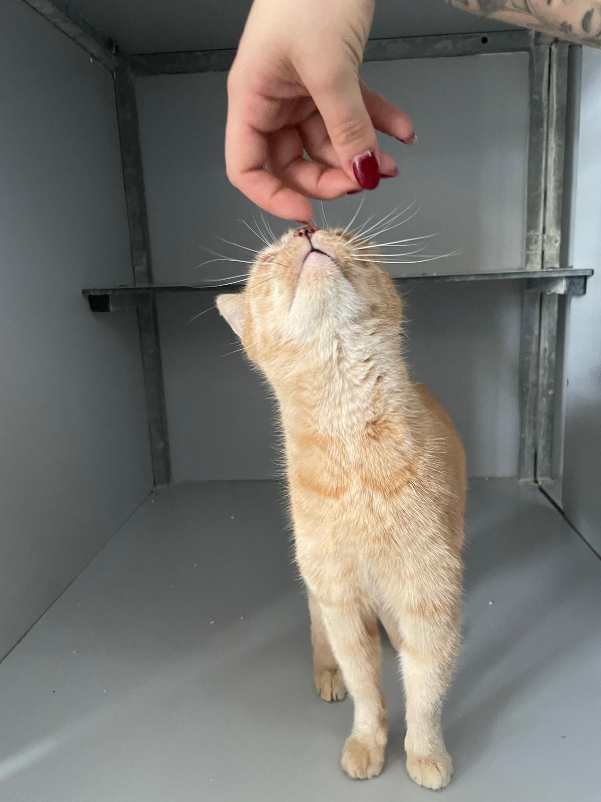 WhatsApp Image 2025-12-03 at 10.04.43 (2)