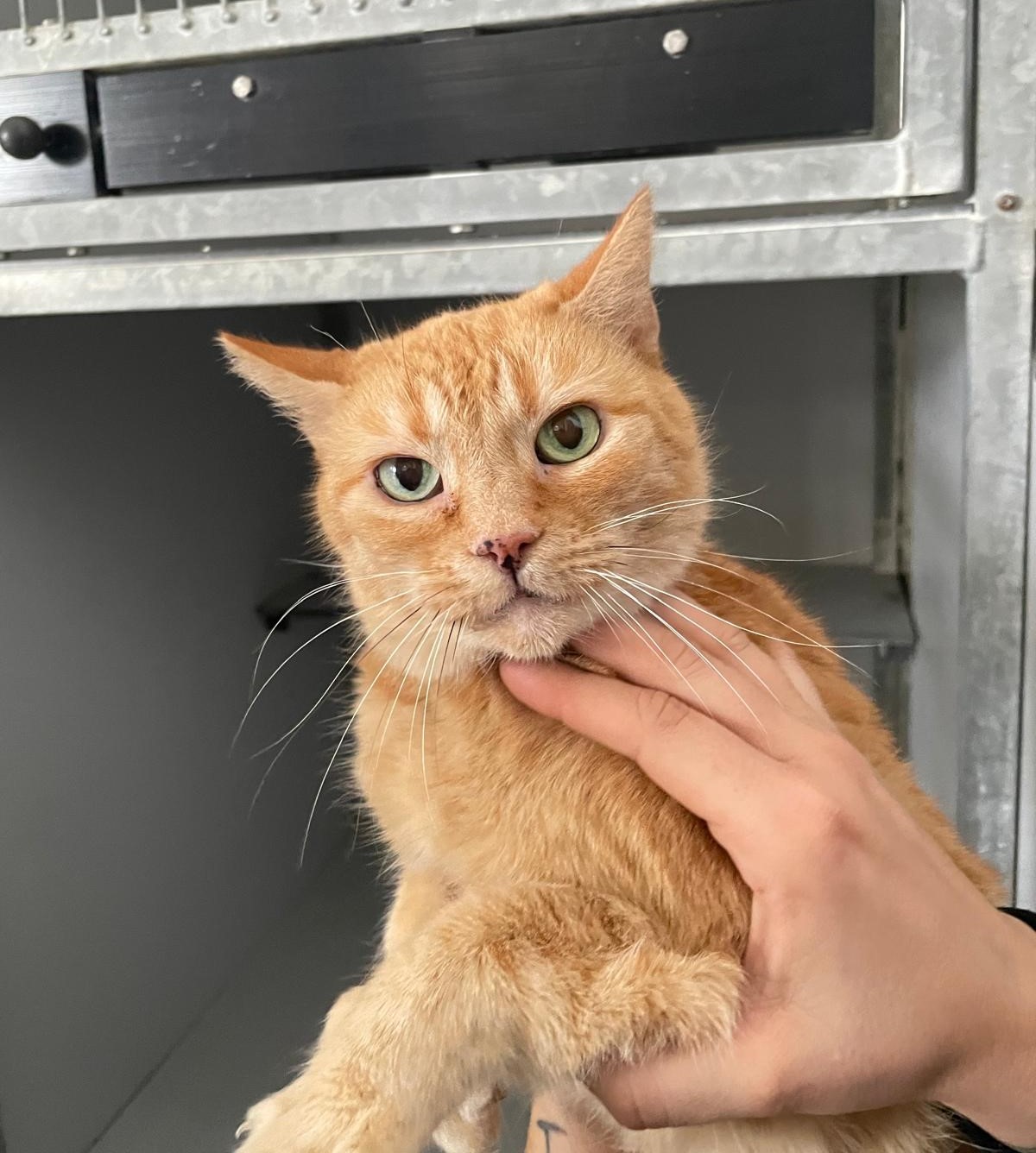 WhatsApp Image 2025-12-03 at 10.04.43