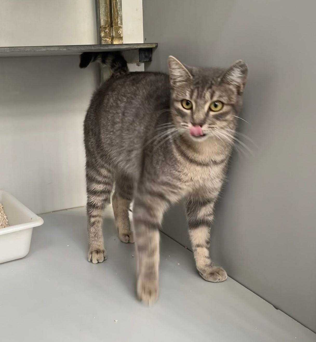 WhatsApp Image 2025-12-03 at 13.51.49