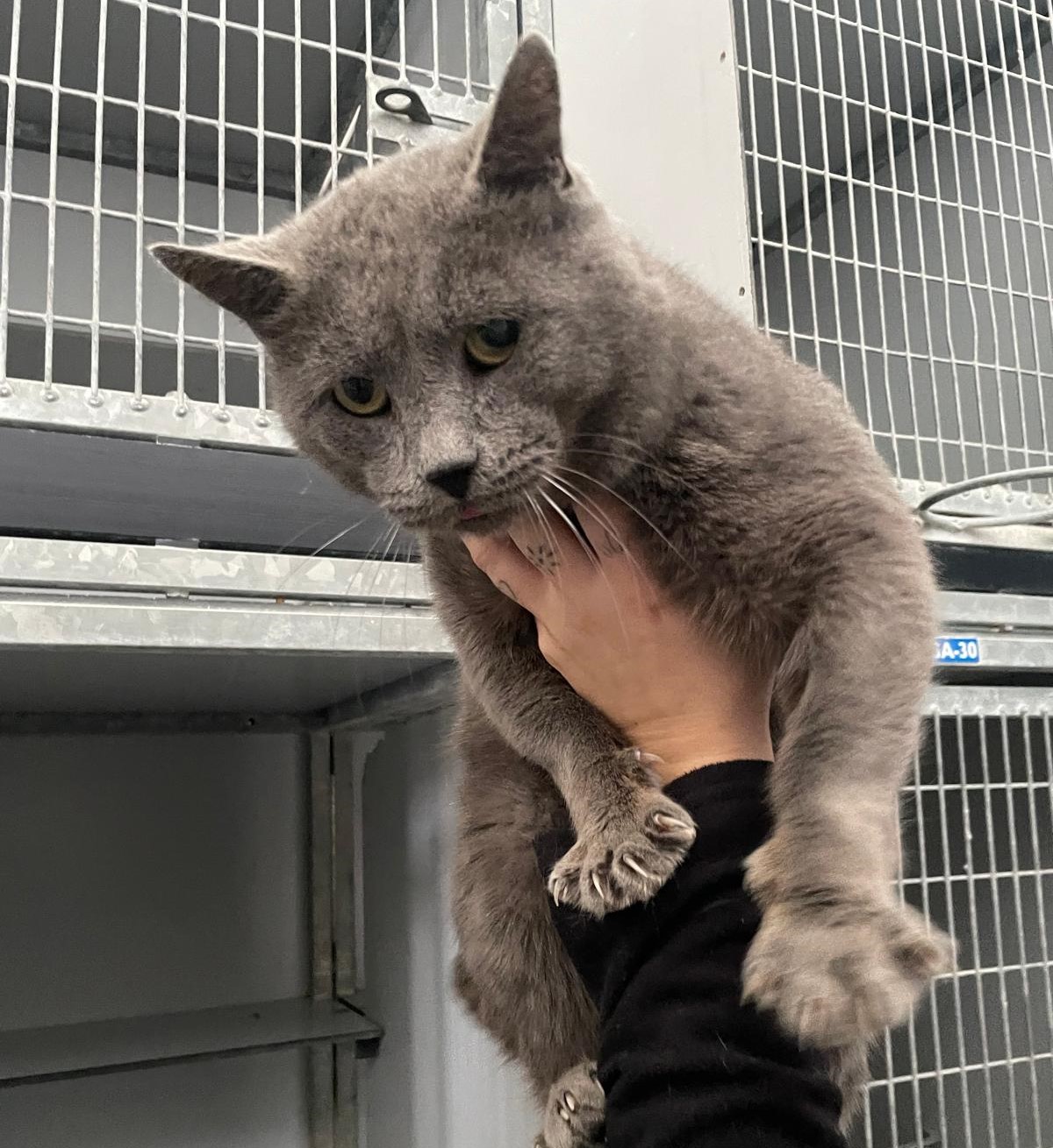 WhatsApp Image 2025-12-03 at 14.56.29 (1)