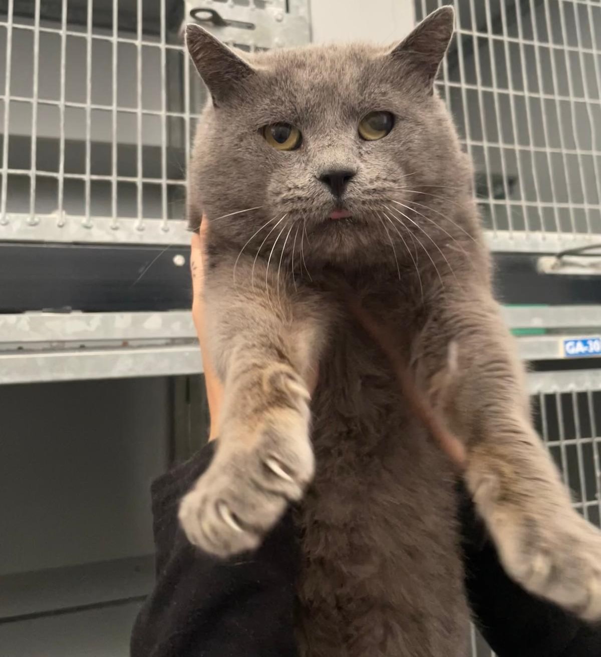 WhatsApp Image 2025-12-03 at 14.56.29