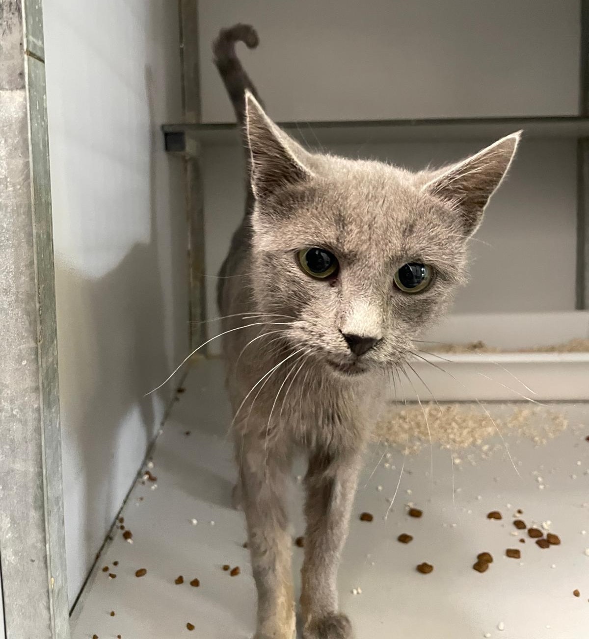 WhatsApp Image 2025-12-03 at 15.15.28 (1)