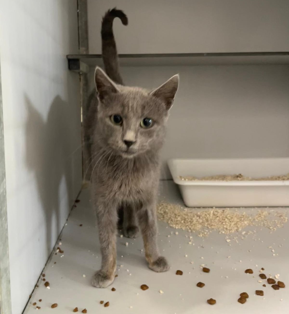 WhatsApp Image 2025-12-03 at 15.15.28 (2)