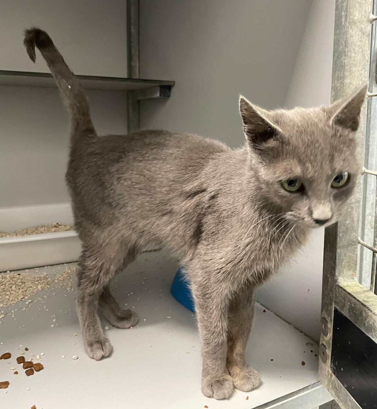 WhatsApp Image 2025-12-03 at 15.15.28