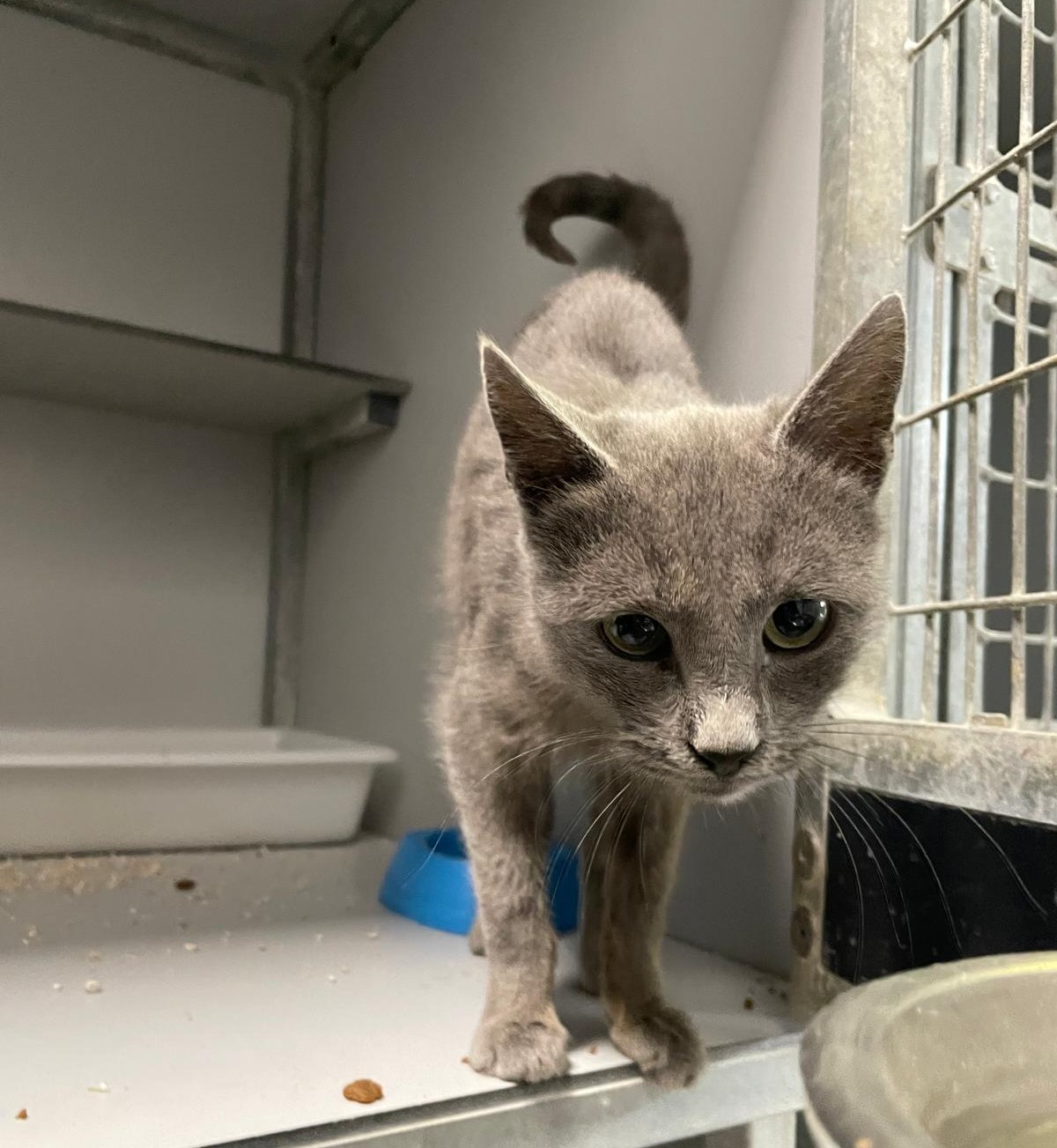 WhatsApp Image 2025-12-03 at 15.15.29