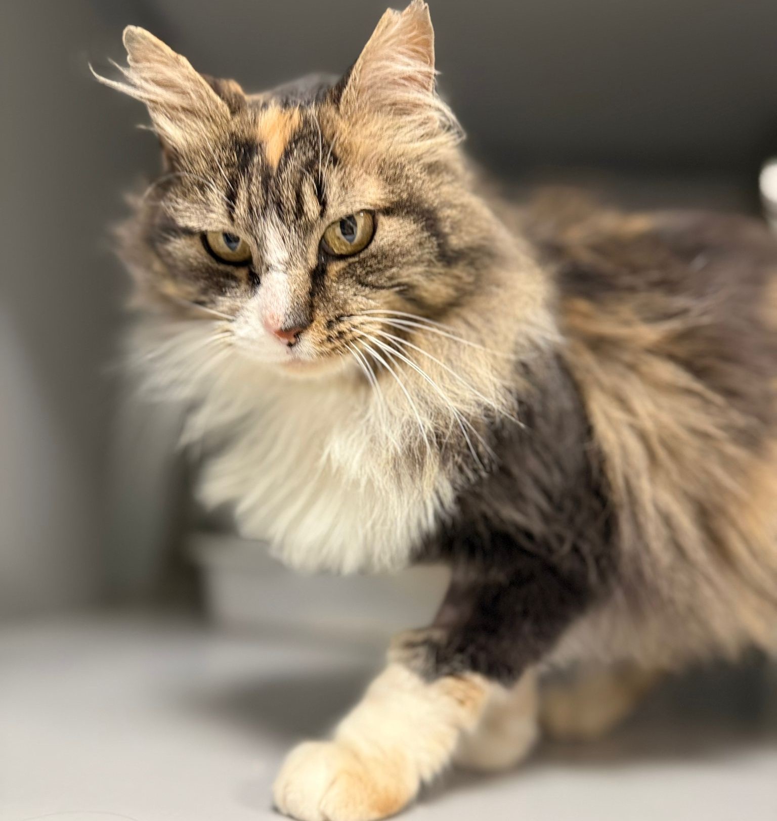 WhatsApp Image 2025-12-04 at 18.17.53 (1)