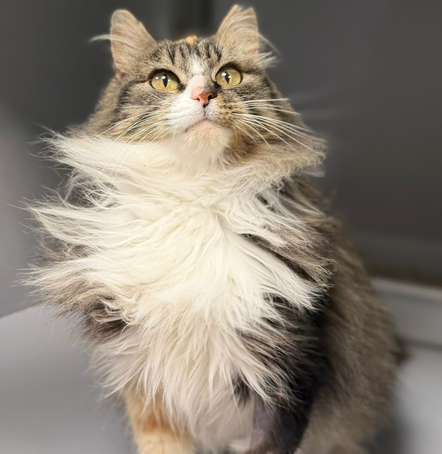 WhatsApp Image 2025-12-04 at 18.17.53