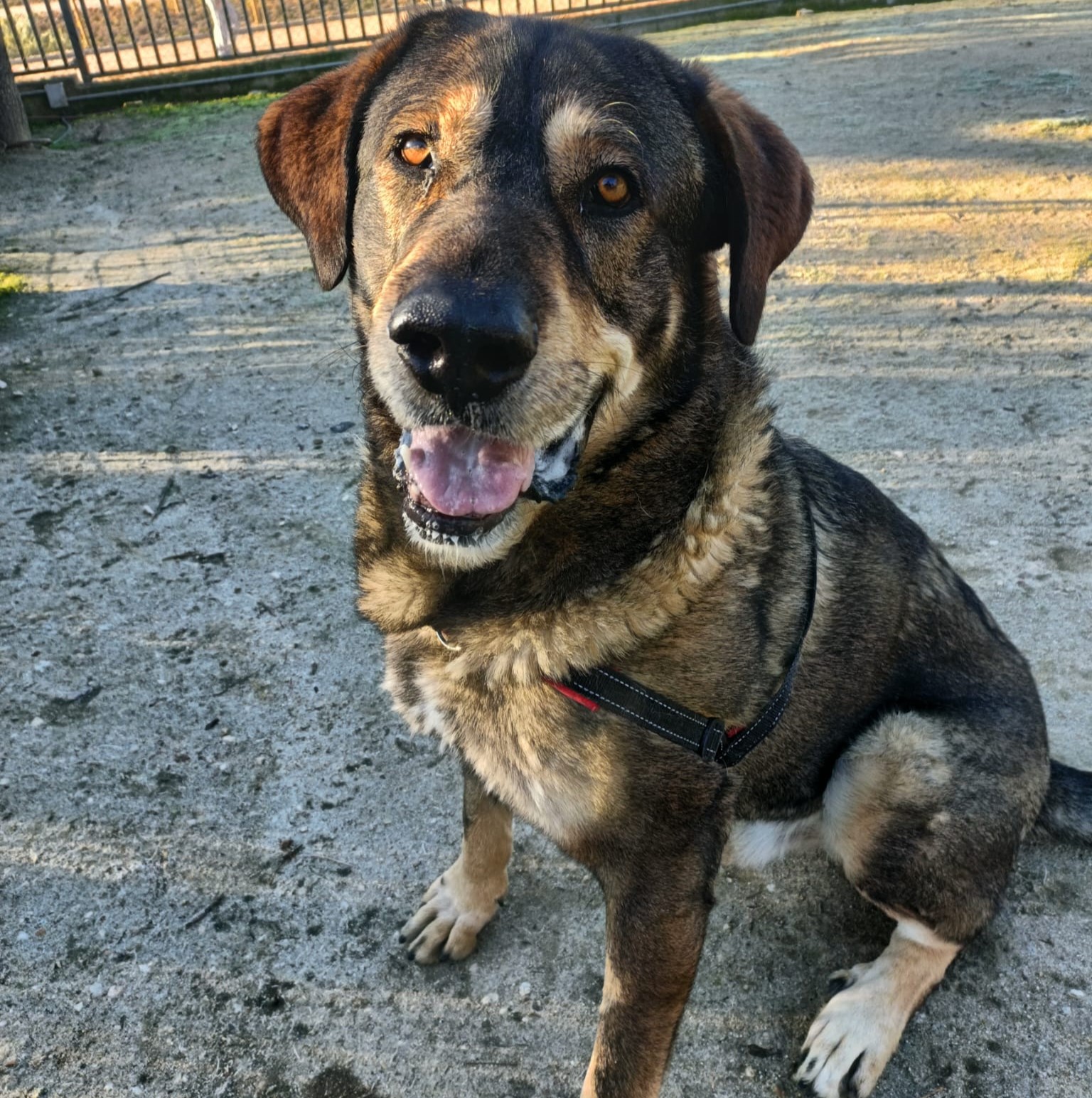 WhatsApp Image 2026-01-20 at 10.17.24