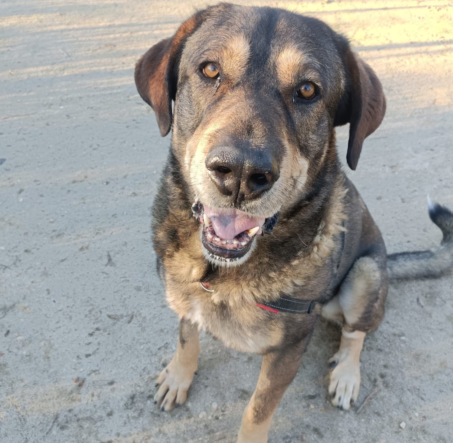 WhatsApp Image 2026-01-20 at 10.17.25