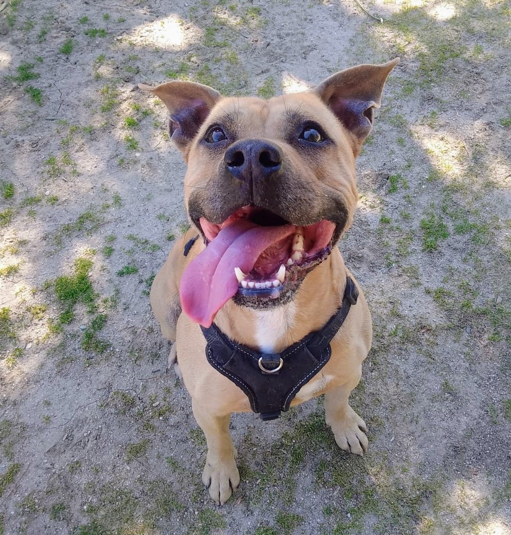 IMG-20260317-WA0018~2