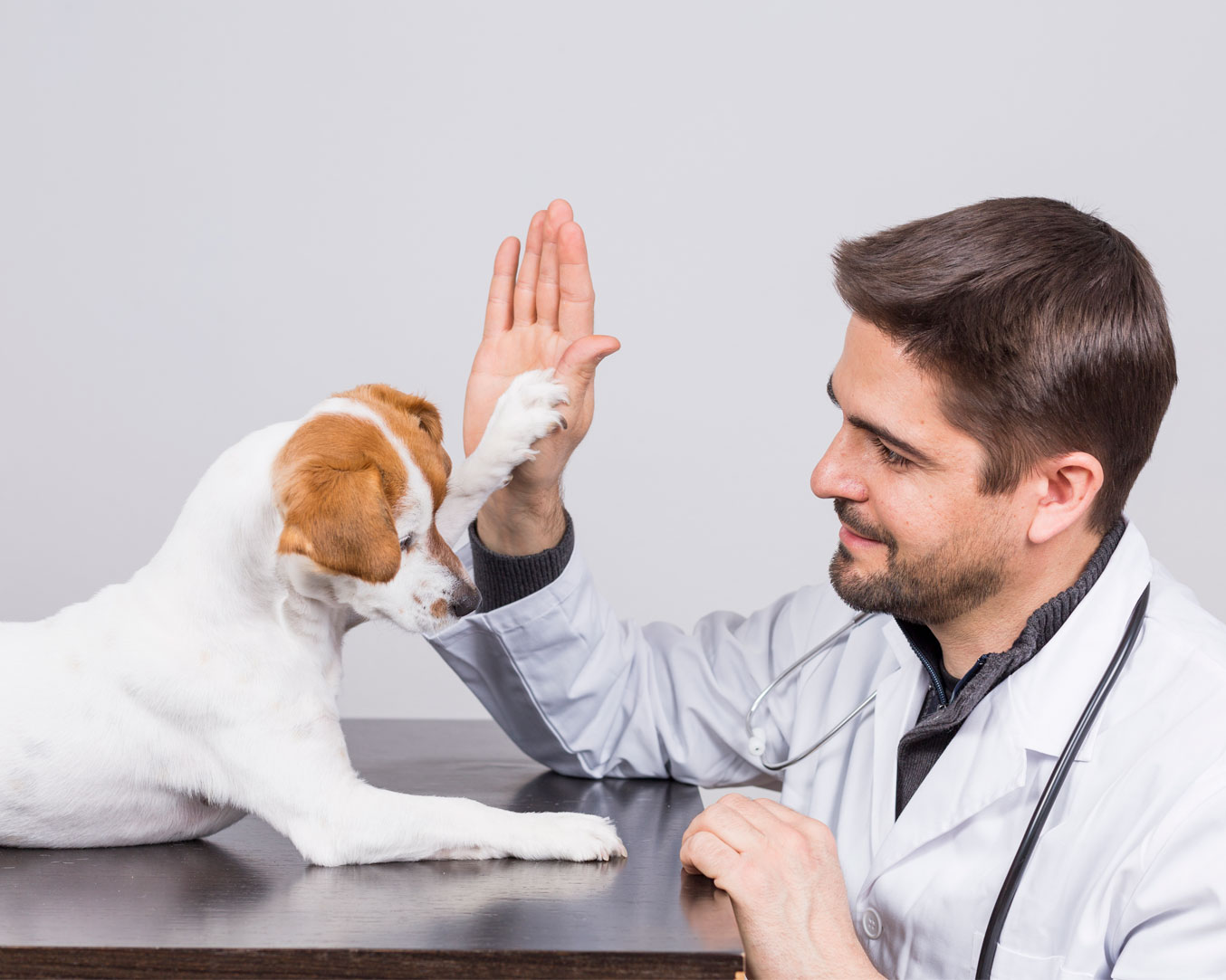 Convenio con clínicas veterinarias